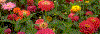 PH01210G1.GIF (26090 byte)