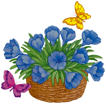 vaso