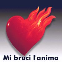 amore6