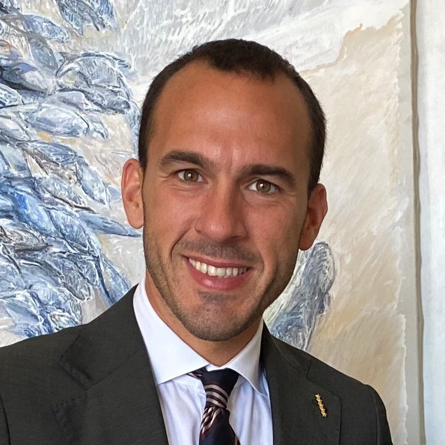 Manlio Di Stefano