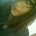 javiera ignacia