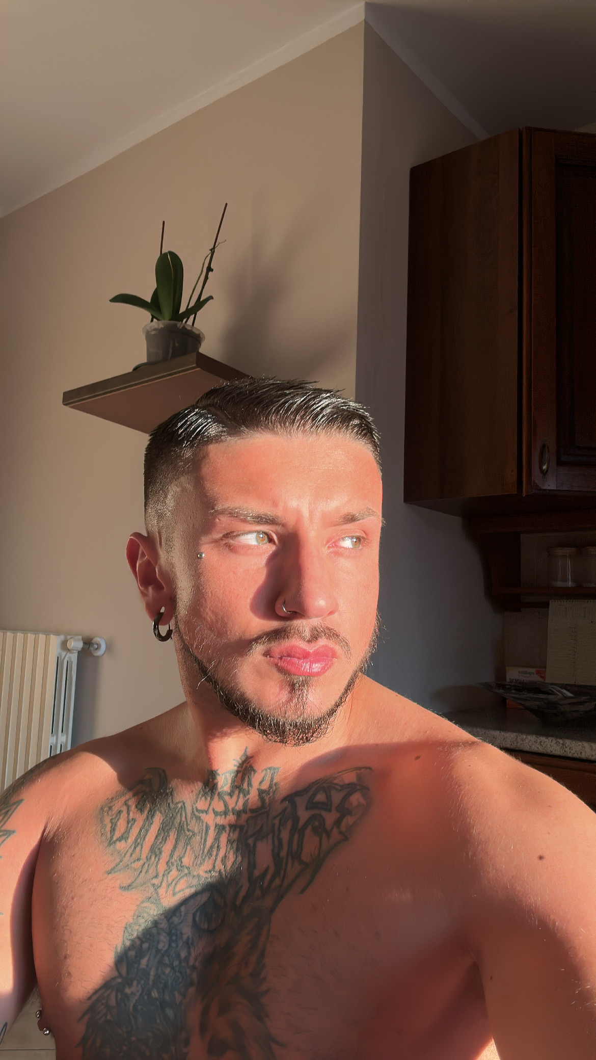 Simone populin