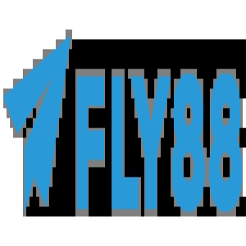 fly888snet2