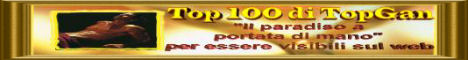 il banner della top 100