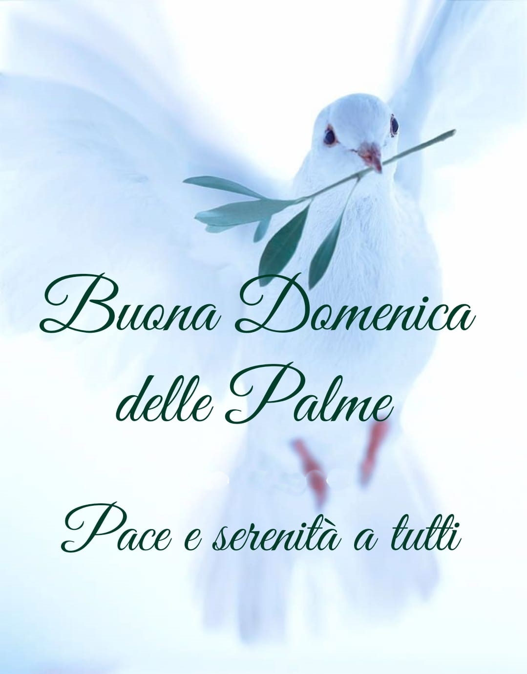Immagine Post