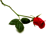 igrosrojacaida.gif (3901 bytes)