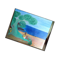 Immagini di Alberi