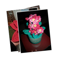Immagini di Fiore