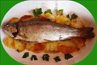 Trota al forno