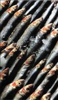 SARDE IN TORTIERA