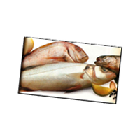 Immagini di scoglio